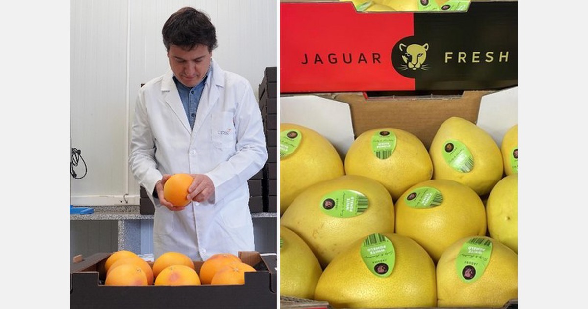 Citrosol et Jaguar suppriment le plastique du pomelo chinois