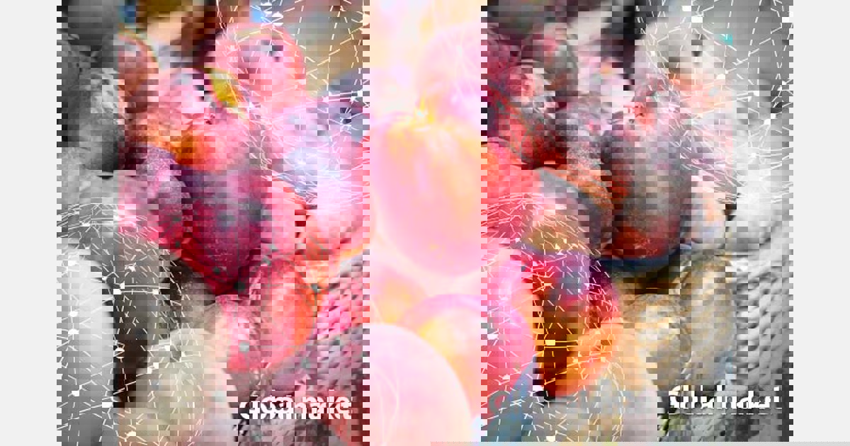 la pêche, la nectarine et la pêche plate