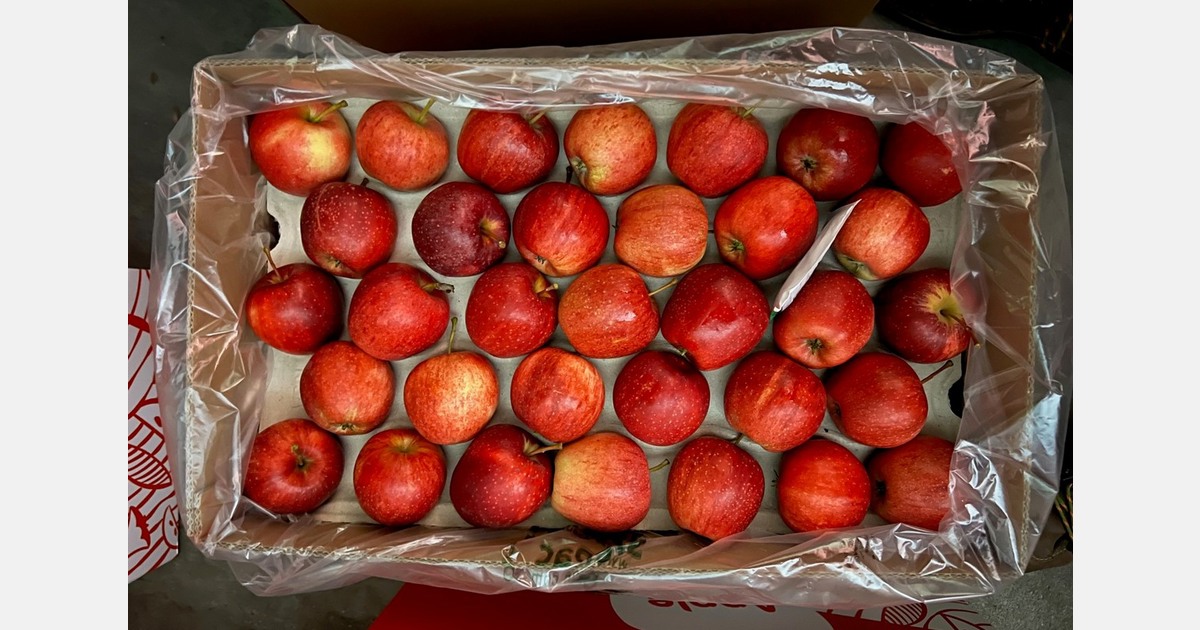 La pomme polonaise gagne du terrain en Amérique du sud