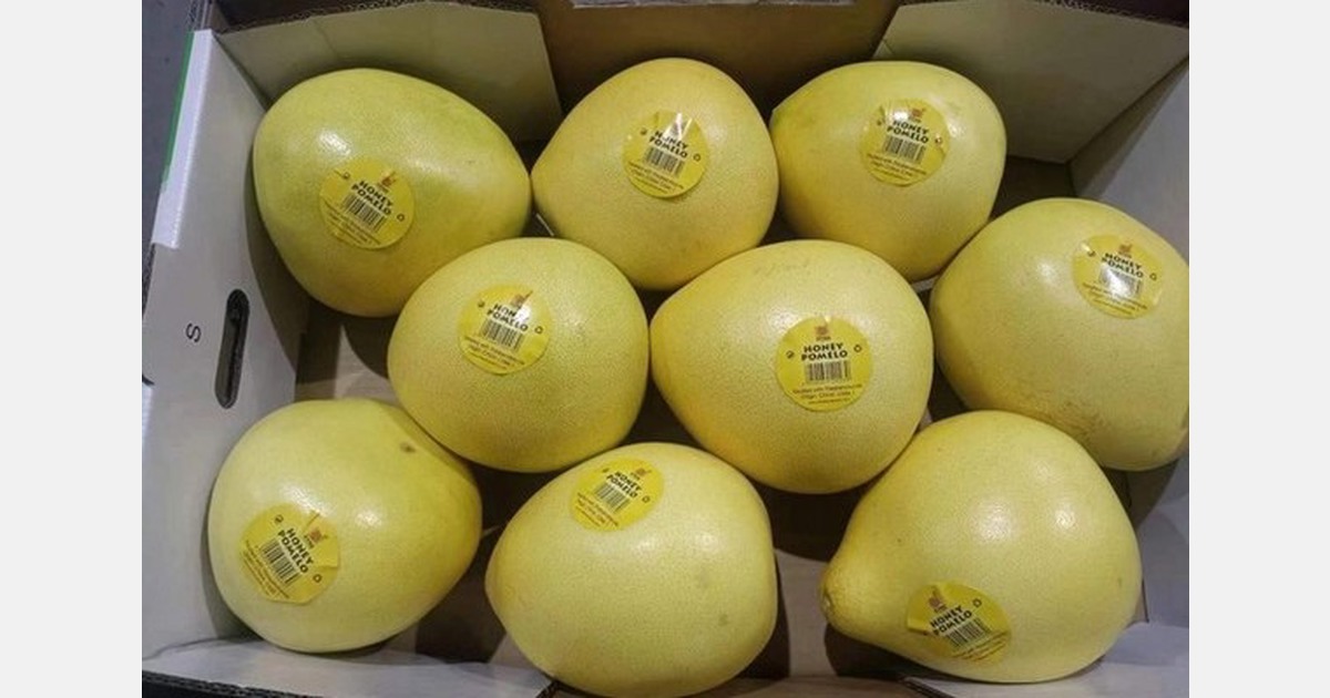 Troisième année consécutive de croissance soutenue pour le pomelo chinois