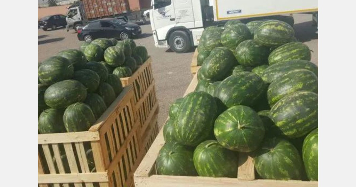 Le manque de pastèque marocaines profitable à la Mauritanie et au Sénégal ?