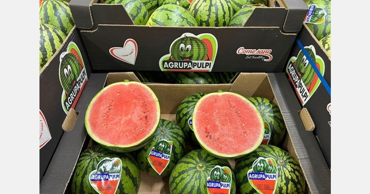« Le Sénégal se renforce sur le marché du melon »