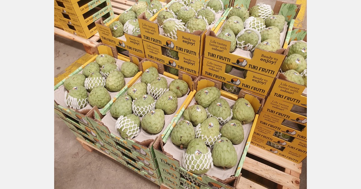 « Nous sommes dans le pic de production de la saison des anones »