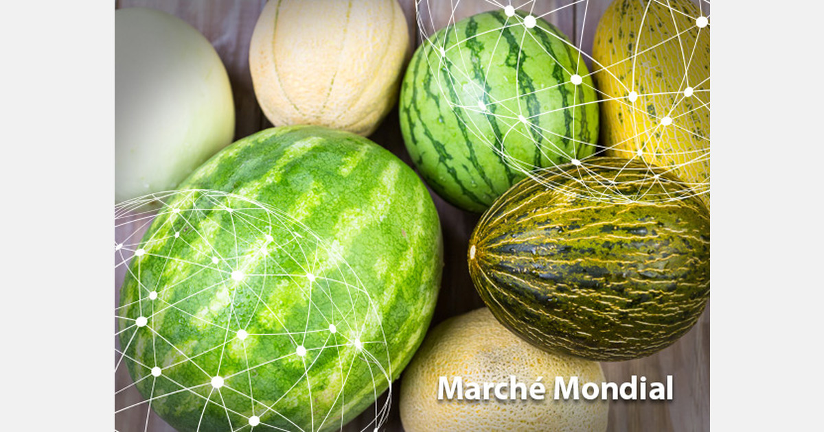 Marché mondial le melon et la pastèque