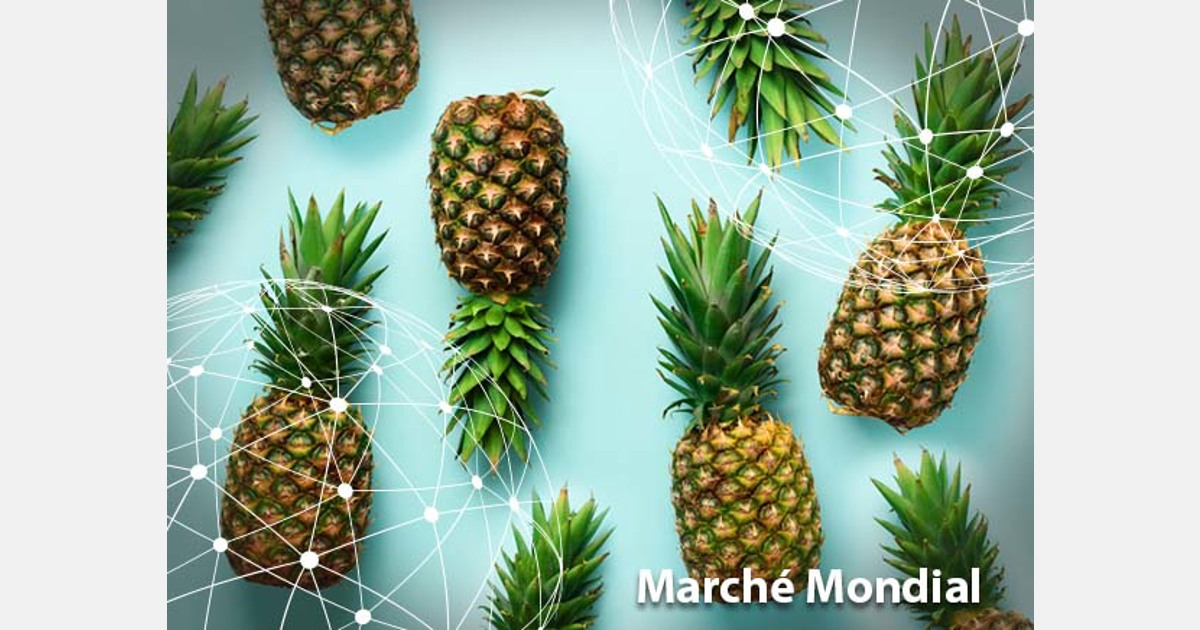 L'ananas, le fruit du « Nouveau Monde »  Ministère de l'Agriculture et de  la Souveraineté alimentaire