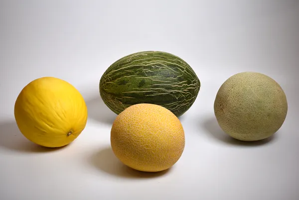 Melon Fruits, variétés, production, saisonnalité