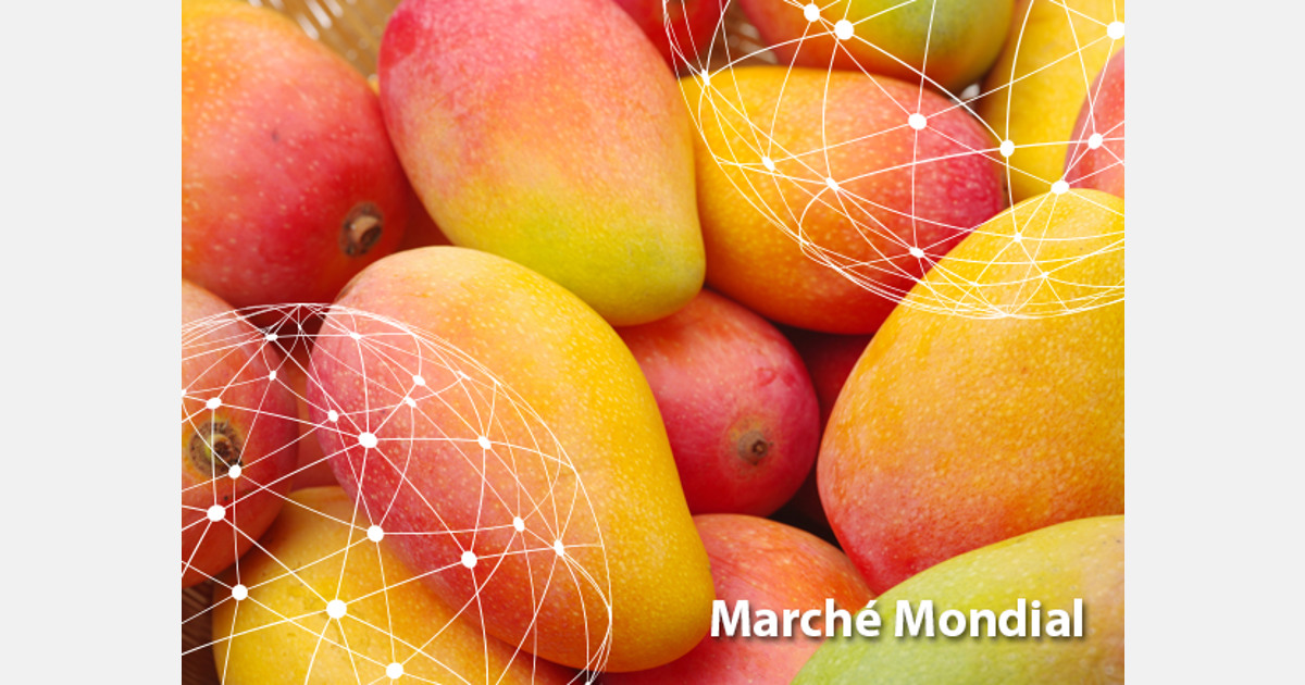 La Mangue - mon-marché.fr
