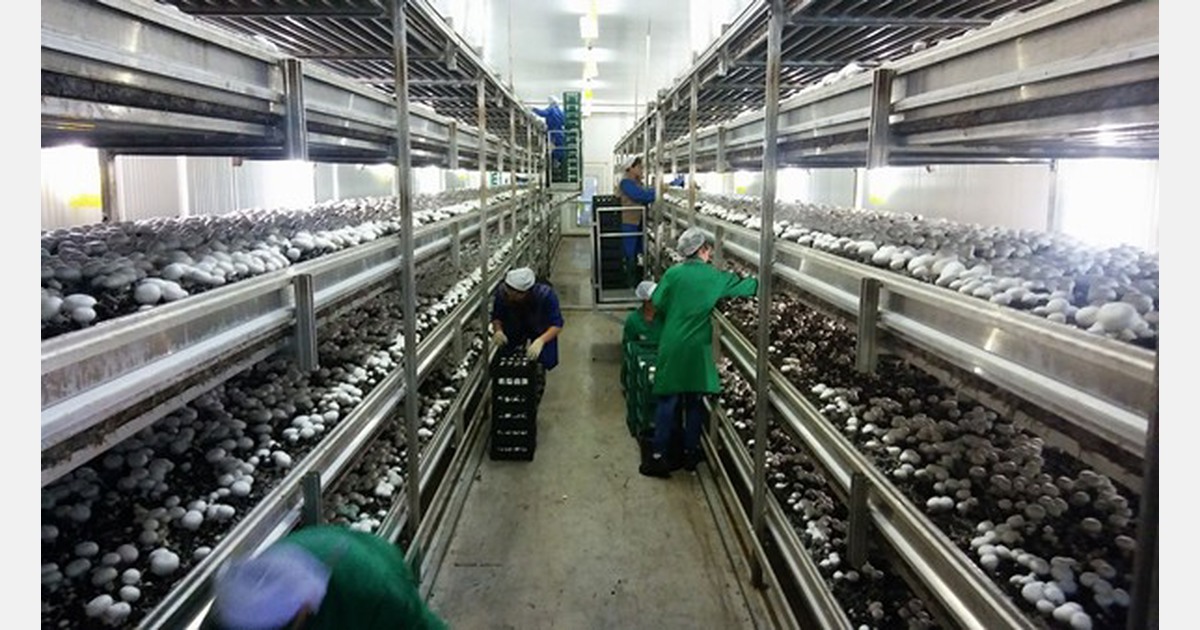 Il cuore oscilla tra orgoglio e ansia