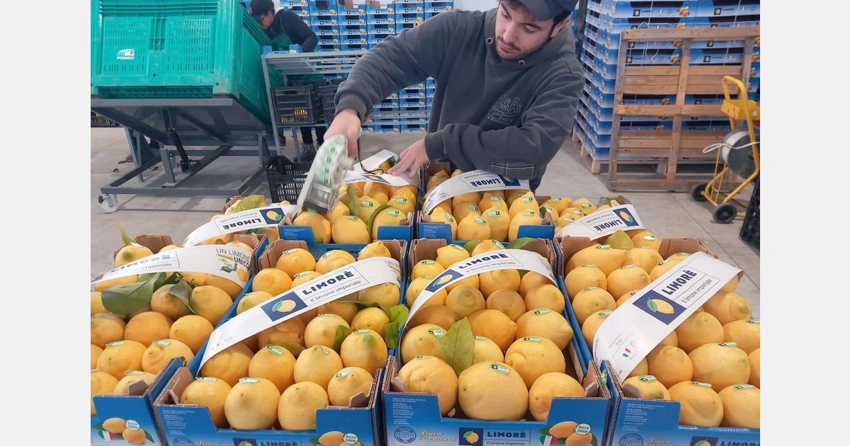 la campagna à son apogée dans le sud de l'Italie la campagna à son apogée dans le sud de l'Italie