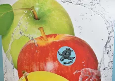 Nouvelle pomme Kawane pour FDA International 