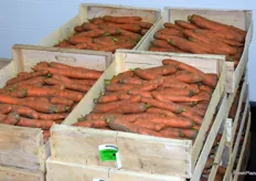 Les carottes d'hiver sans fane, aussi de la production locale
