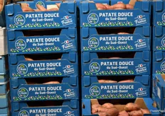 La production des patates douces françaises augmente de plus en plus 