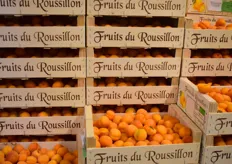 Des abricots - Fruits du Roussilion - proposés par Soulage