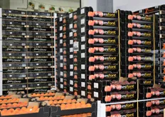 Le grossiste Prim Select, présent au MIN de Toulouse propose toute une gamme de fruits de saison