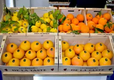Le Domaine de la Taste a présenté ses agrumes de Corse au Fruit Logistica