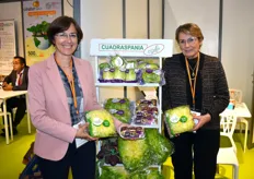 Cuadraspania avec Joséphine et Colette Cuadras, mettent à l’honneur la salade frisée fine 