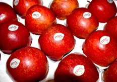 La pomme Envy, proposée par Albafruit